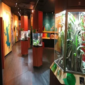 Foto de Centro Natural Punta Culebra