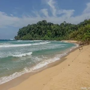 Foto de Wizard Beach